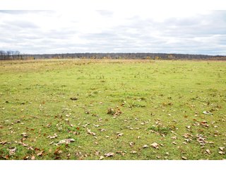 Property photo 57 - REAL ESTATE AUCTION - 1,428+/- ACRES OFFERED IN 10 TRACTS IN PRICE CO., WI